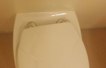Deze snelle truc voorkomt dat je wc-bril ooit nog verschuift — binnen 1 minuut gefixt
