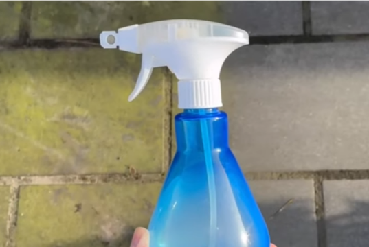 Eindelijk een schoon terras: dit goedkope keukenkastmiddel verslaat groene aanslag razendsnel
