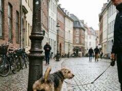 Nieuwe hondenregel zorgt voor ophef: baasjes slaan alarm