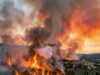 Massale evacuatie uit topvakantiebestemming: hevige bosbrand jaagt ruim 12.000 toeristen weg