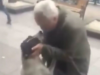 Na drie jaar op straat volgt kippenvel: hond herkent plots een vertrouwde stem