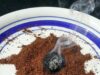Waarom hij koffie verbrandt in de tuin: deze simpele truc verjaagt muggen en wespen razendsnel