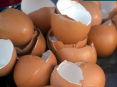 Stop met weggooien: zo gebruik je eierschalen verrassend slim in keuken, huis en tuin