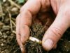 Roy haalt een ring uit de grond: zodra Bert weet van wie die is, houdt hij het niet droog