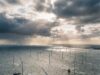 Kostbare windparken op zee slikken miljarden aan belastinggeld, terwijl milieuwinst tegenvalt