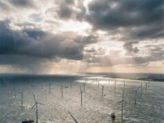 Kostbare windparken op zee slikken miljarden aan belastinggeld, terwijl milieuwinst tegenvalt